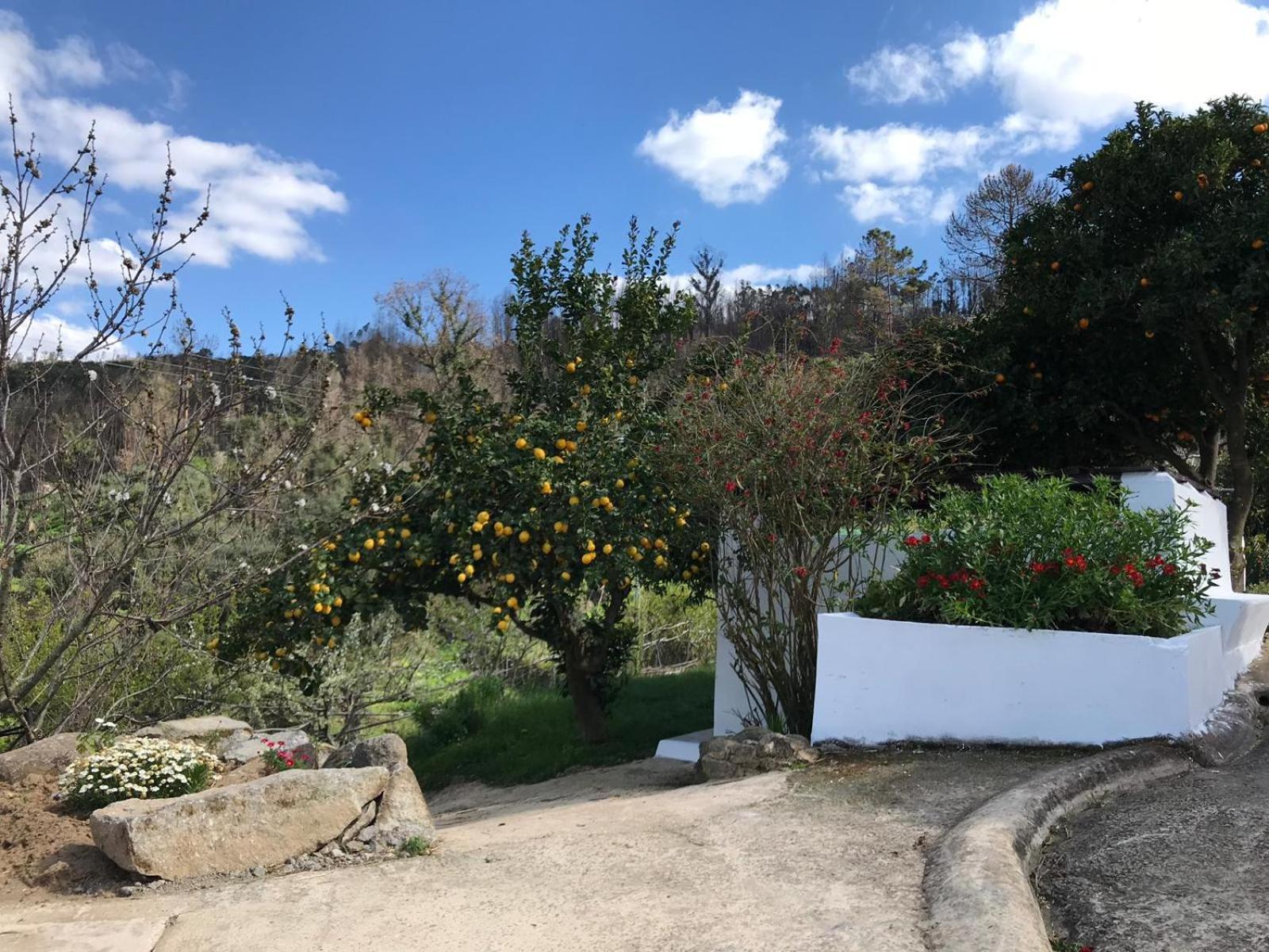 Casas Bemposta Βίλα Monchique Εξωτερικό φωτογραφία