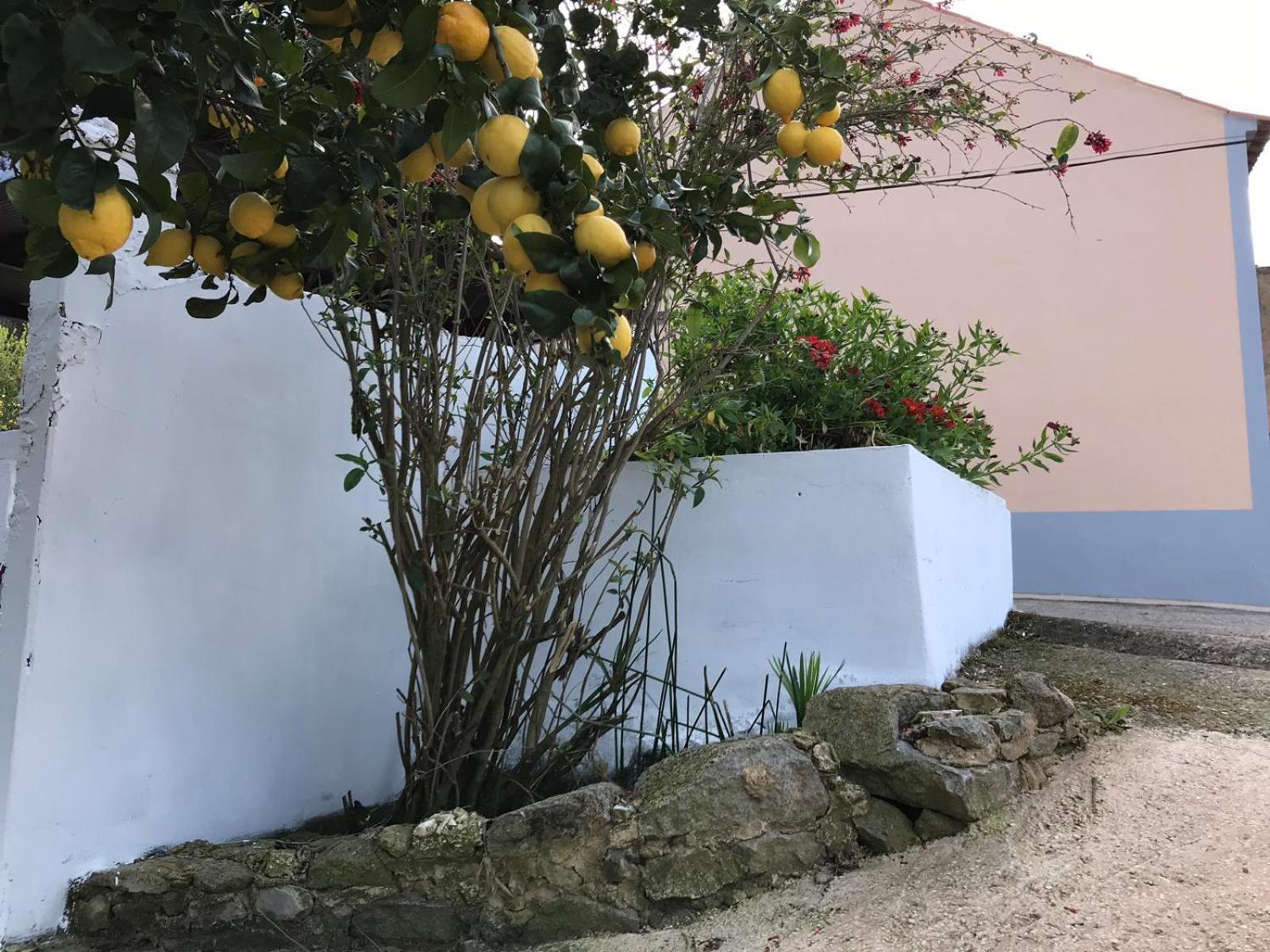 Casas Bemposta Βίλα Monchique Εξωτερικό φωτογραφία
