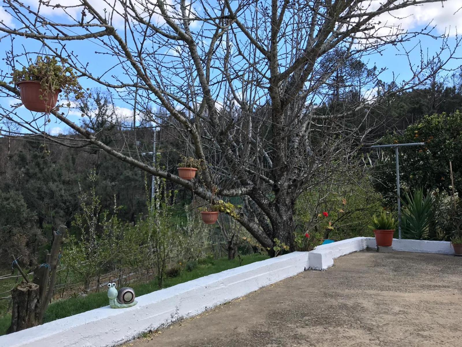 Casas Bemposta Βίλα Monchique Εξωτερικό φωτογραφία
