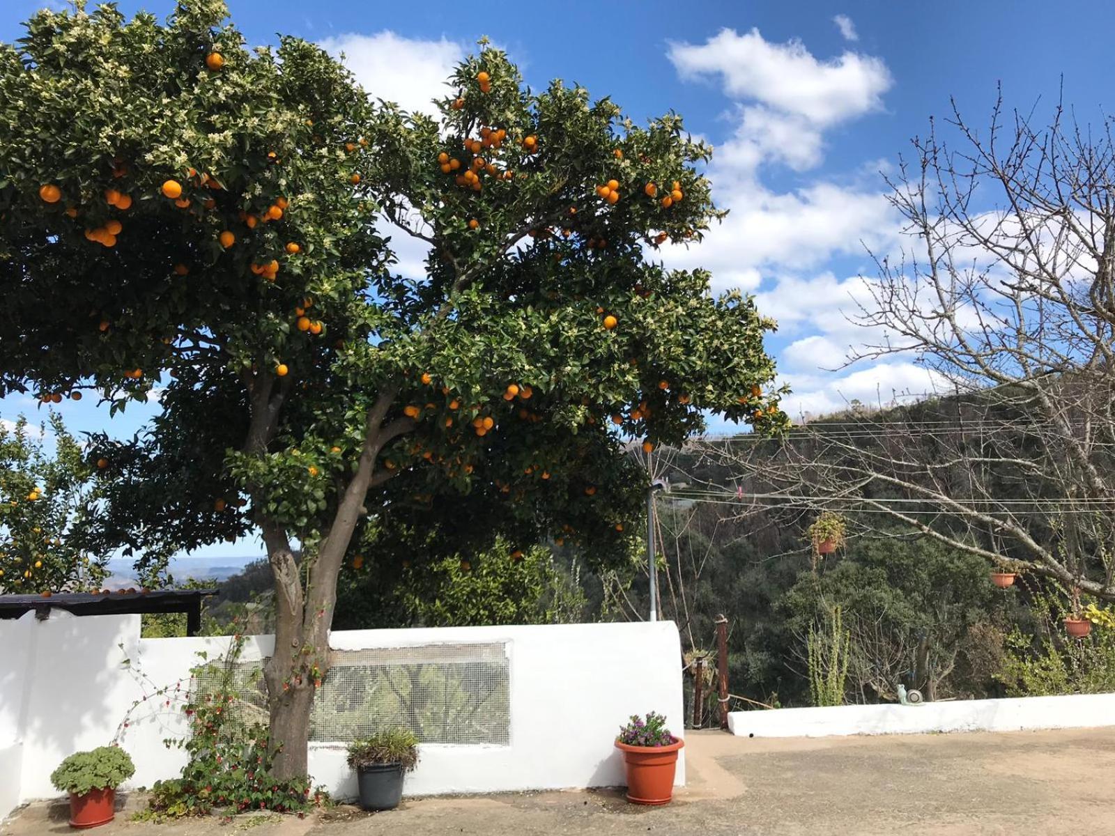 Casas Bemposta Βίλα Monchique Εξωτερικό φωτογραφία