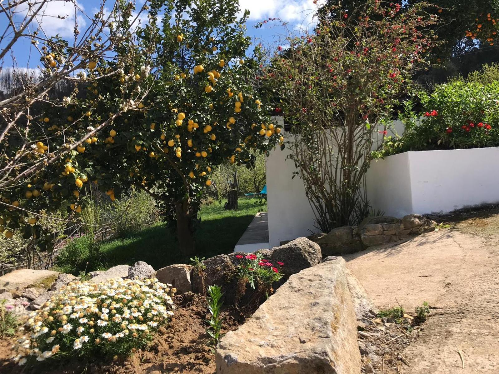 Casas Bemposta Βίλα Monchique Εξωτερικό φωτογραφία