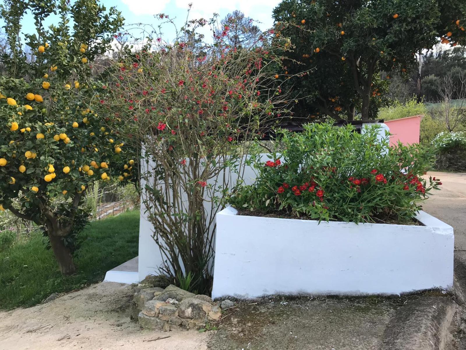 Casas Bemposta Βίλα Monchique Εξωτερικό φωτογραφία